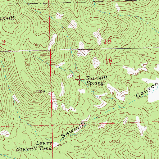 Topographic Map of Sawmill Spring, NM