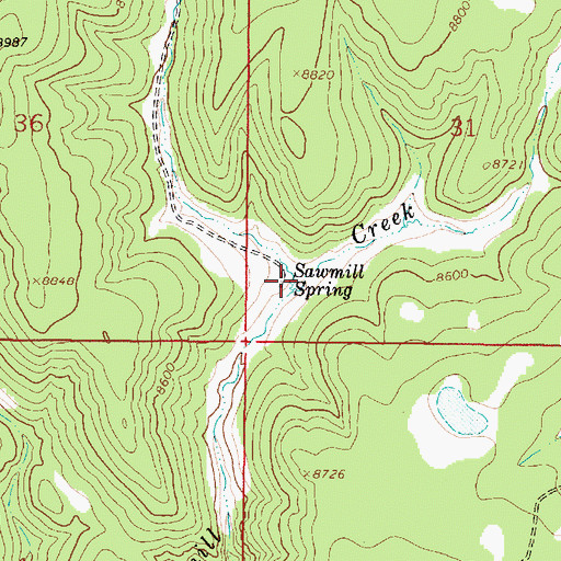 Topographic Map of Sawmill Spring, NM