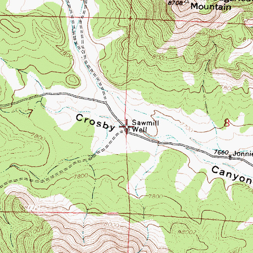 Topographic Map of Sawmill Well, NM