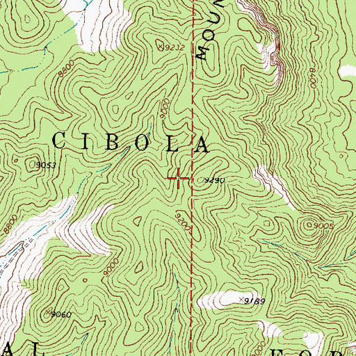 Topographic Map of Sawtooth Mountains, NM