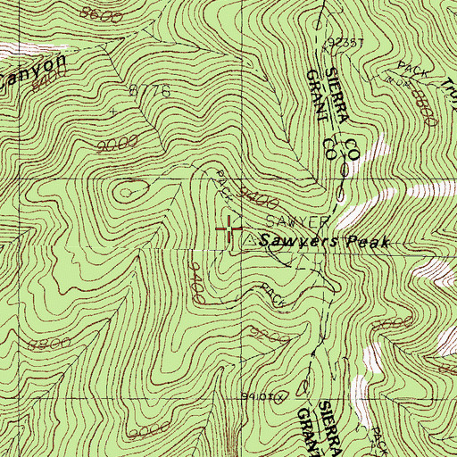 Topographic Map of Sawyers Peak, NM
