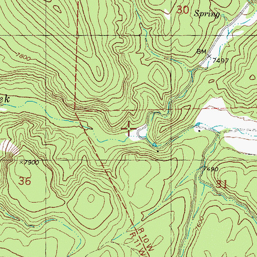 Topographic Map of Scales Canyon, NM