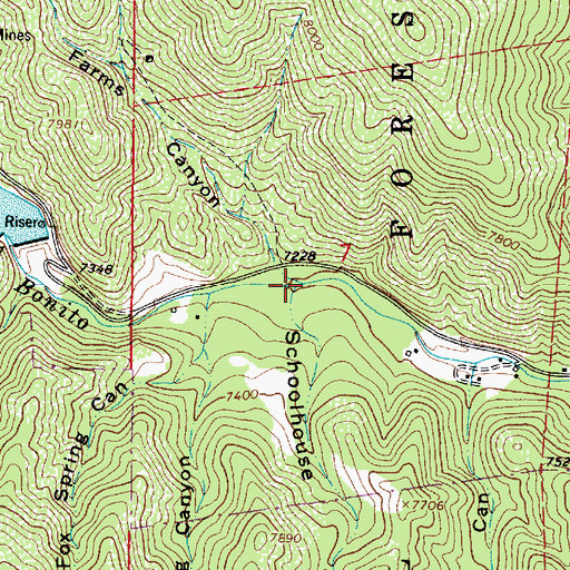 Topographic Map of Schoolhouse Canyon, NM