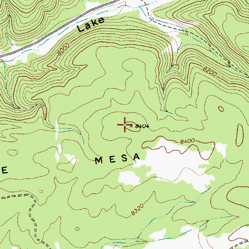 Topographic Map of Schoolhouse Mesa, NM