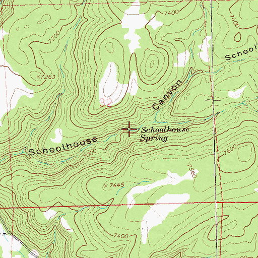 Topographic Map of Schoolhouse Spring, NM