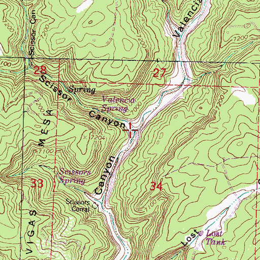 Topographic Map of Scissor Canyon, NM