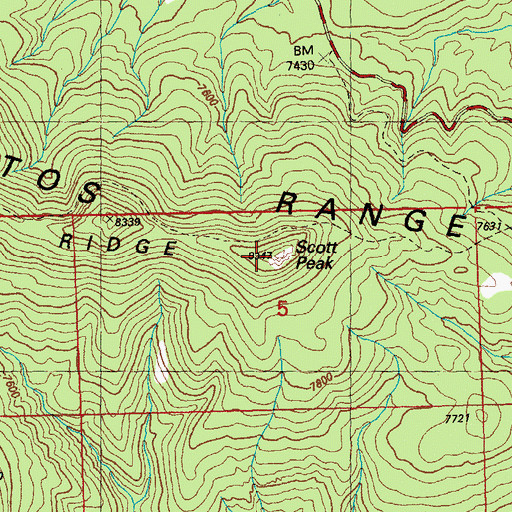 Topographic Map of Scott Peak, NM