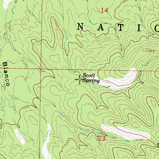Topographic Map of Scott Spring, NM