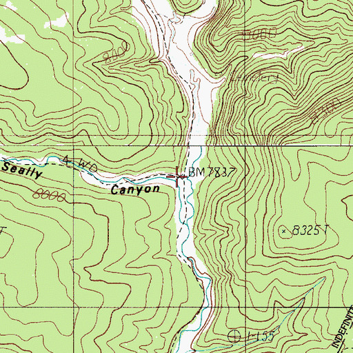 Topographic Map of Seally Canyon, NM