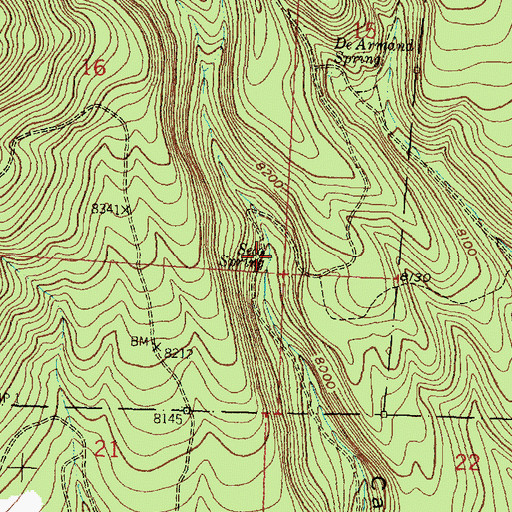 Topographic Map of Seco Spring, NM