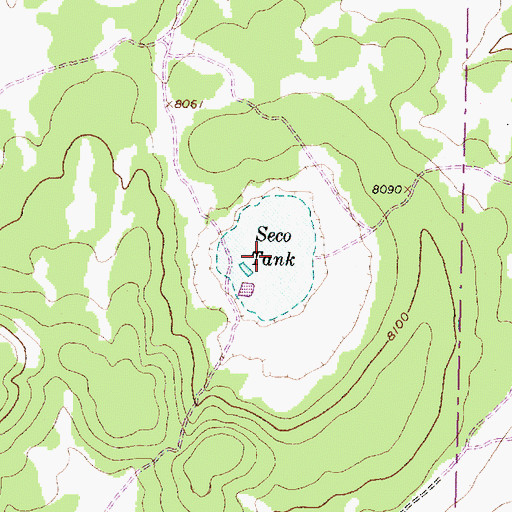 Topographic Map of Seco Tank, NM