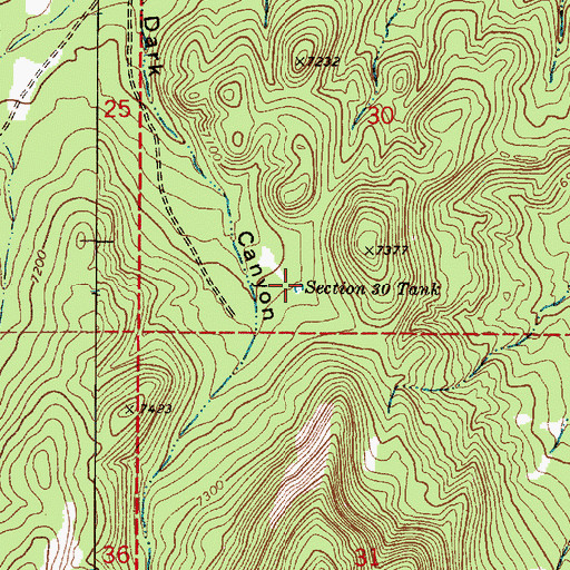 Topographic Map of Section Thirty Tank, NM