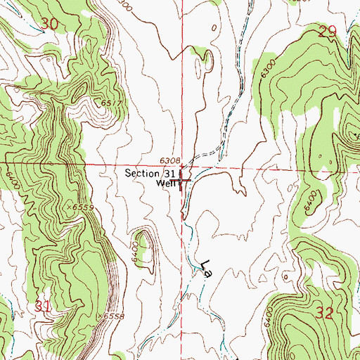 Topographic Map of Section Thirty Tank, NM