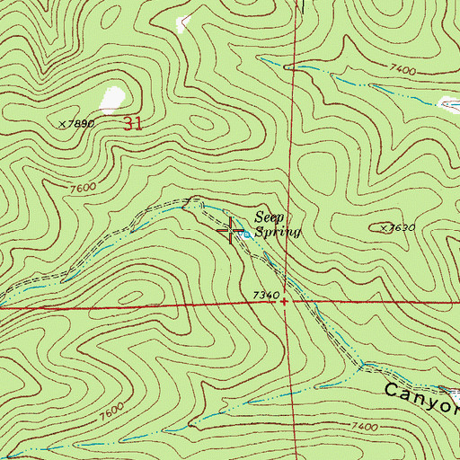 Topographic Map of Seep Spring, NM