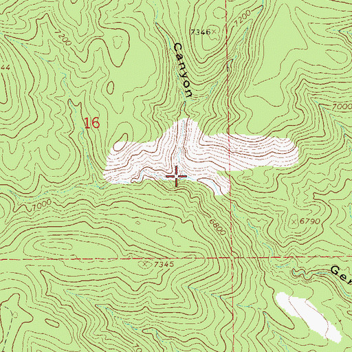 Topographic Map of Seep Spring Canyon, NM