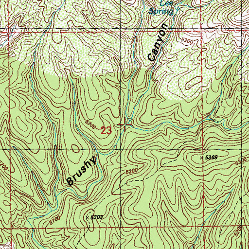 Topographic Map of Seep Springs Canyon, NM