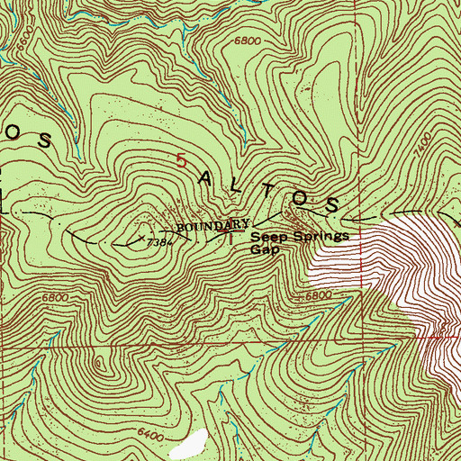 Topographic Map of Seep Springs Gap, NM