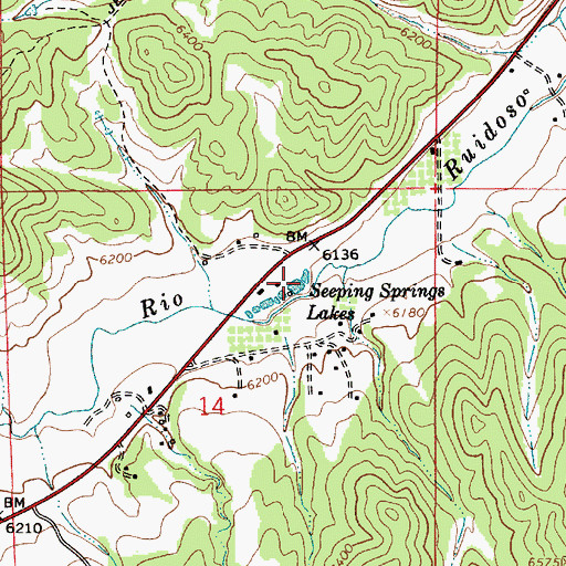 Topographic Map of Seeping Springs Lakes, NM