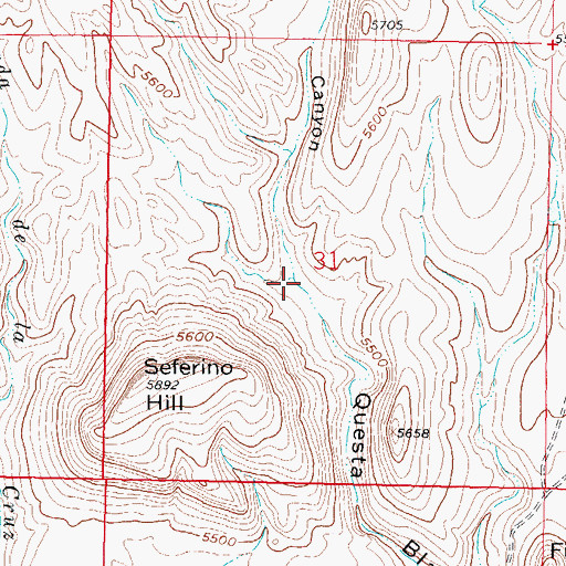 Topographic Map of Seferino Canyon, NM