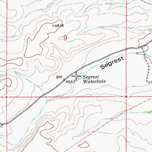 Topographic Map of Segrest Waterhole, NM