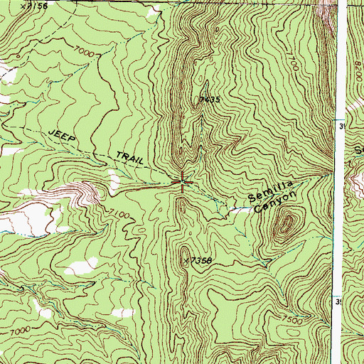 Topographic Map of Semilla Canyon, NM