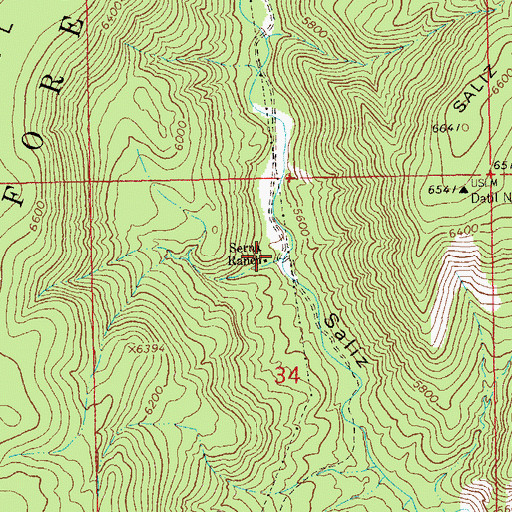 Topographic Map of Serna Ranch, NM