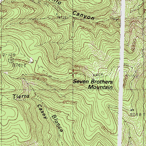 Topographic Map of Seven Brothers Mountain, NM