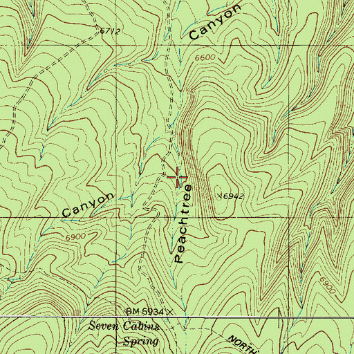 Topographic Map of Seven Cabins, NM