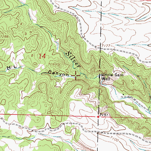 Topographic Map of Seven H L Canyon, NM