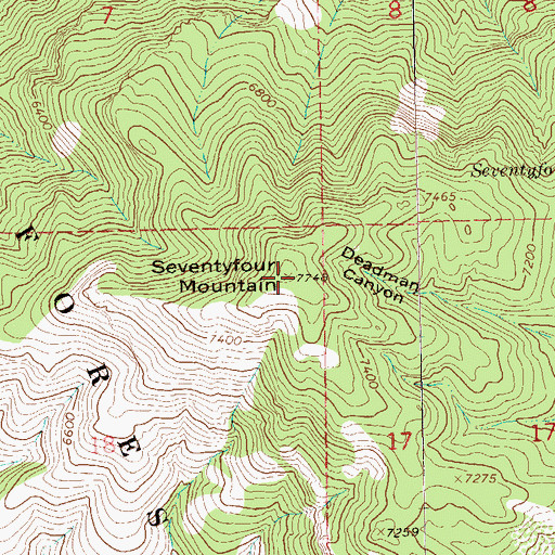 Topographic Map of Seventyfour Mountain, NM