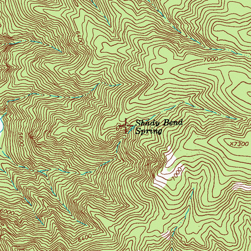 Topographic Map of Shady Bend Spring, NM