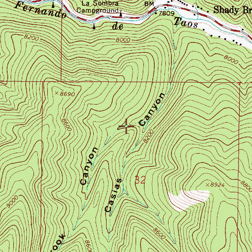 Topographic Map of Shady Brook Canyon, NM