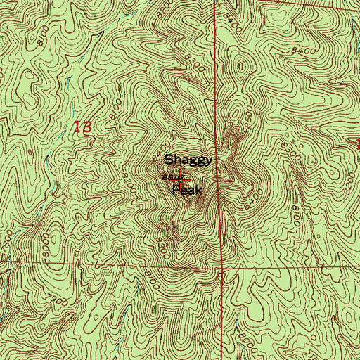 Topographic Map of Shaggy Peak, NM