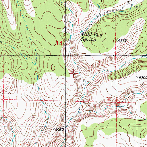 Topographic Map of Snaky Canyon, NM