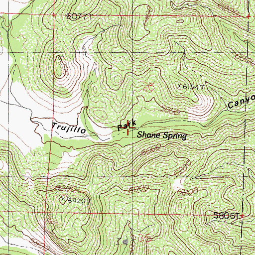Topographic Map of Shane Spring, NM