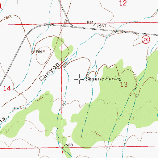 Topographic Map of Shantie Spring, NM