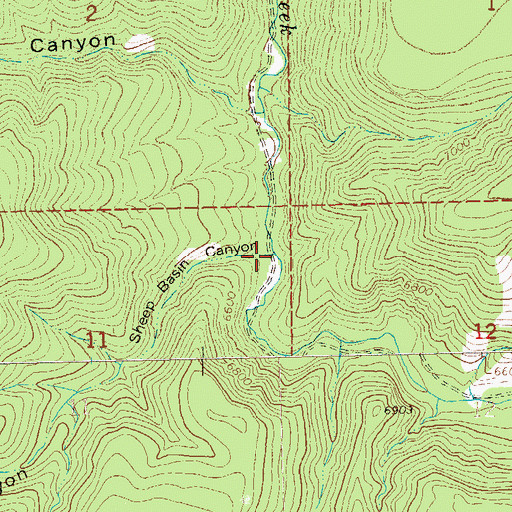 Topographic Map of Sheep Basin Canyon, NM