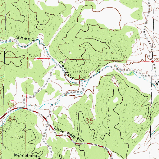 Topographic Map of Sheep Canyon, NM