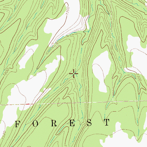Topographic Map of Shotgun Canyon, NM