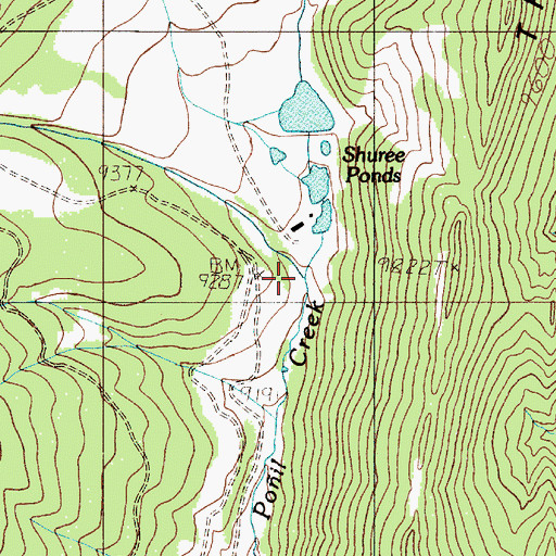 Topographic Map of Shuree Creek, NM