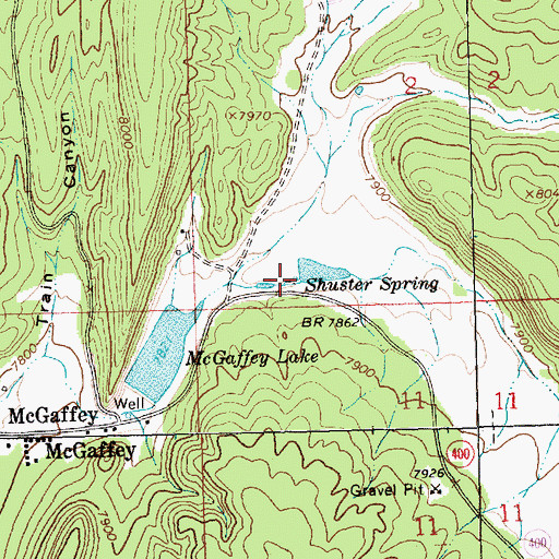 Topographic Map of Shuster Spring, NM