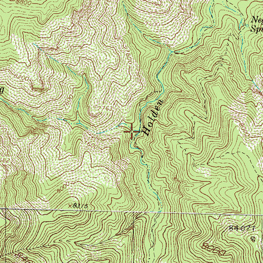 Topographic Map of Sids Prong, NM