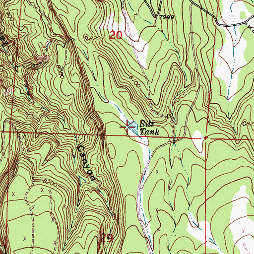 Topographic Map of Silt Tank, NM