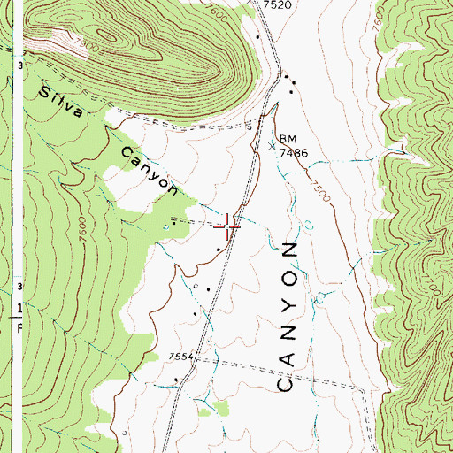 Topographic Map of Silva Canyon, NM