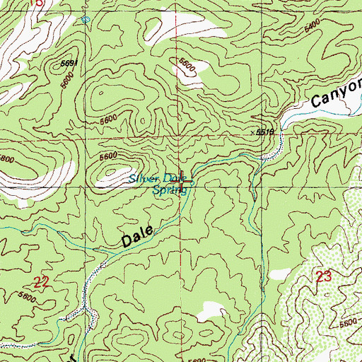Topographic Map of Silver Dale Spring, NM