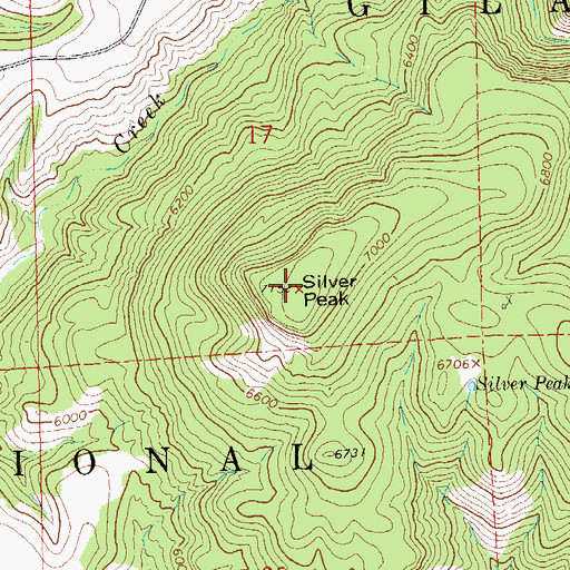 Topographic Map of Silver Peak, NM