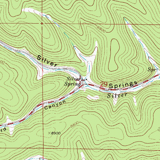 Topographic Map of Silver Spring, NM