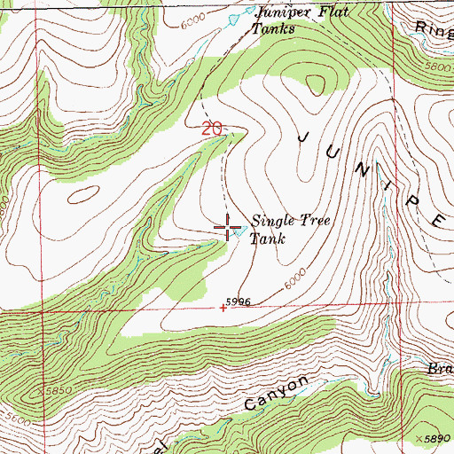 Topographic Map of Single Tree Tank, NM
