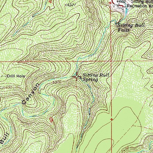 Topographic Map of Sitting Bull Spring, NM