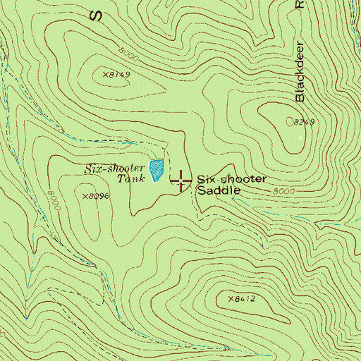 Topographic Map of Six-shooter Saddle, NM